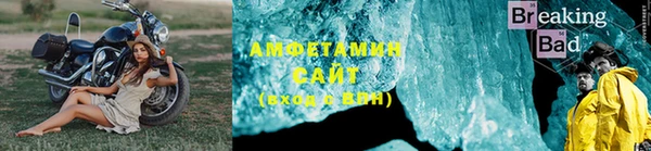 индика Аркадак