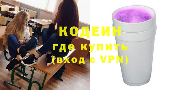 индика Аркадак