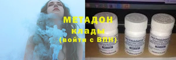 индика Аркадак