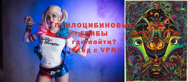 индика Аркадак