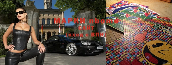 индика Аркадак