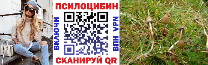 Галлюциногенные грибы мицелий  даркнет телеграм  Выкса 